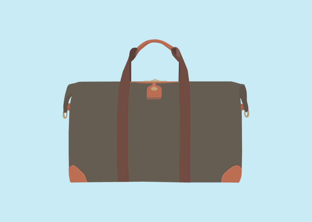 illustration of a designer luggage